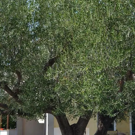 Дом отдыха Oasi Peppa