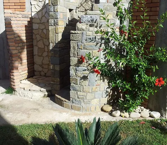 Oasi Peppa * アシェーア