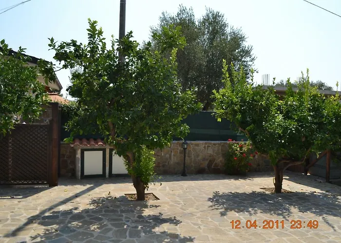 Oasi Peppa * アシェーア